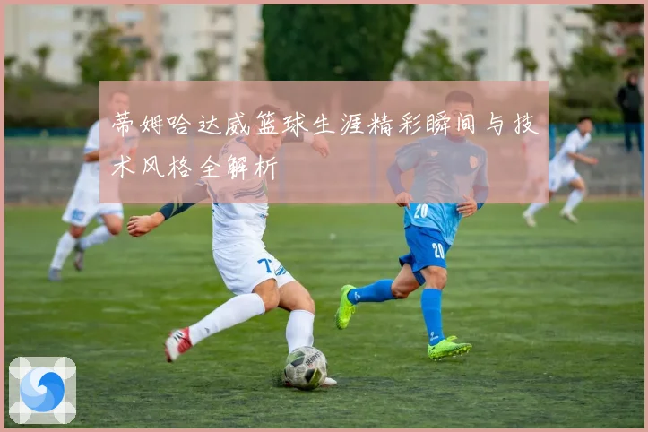 蒂姆哈达威篮球生涯精彩瞬间与技术风格全解析