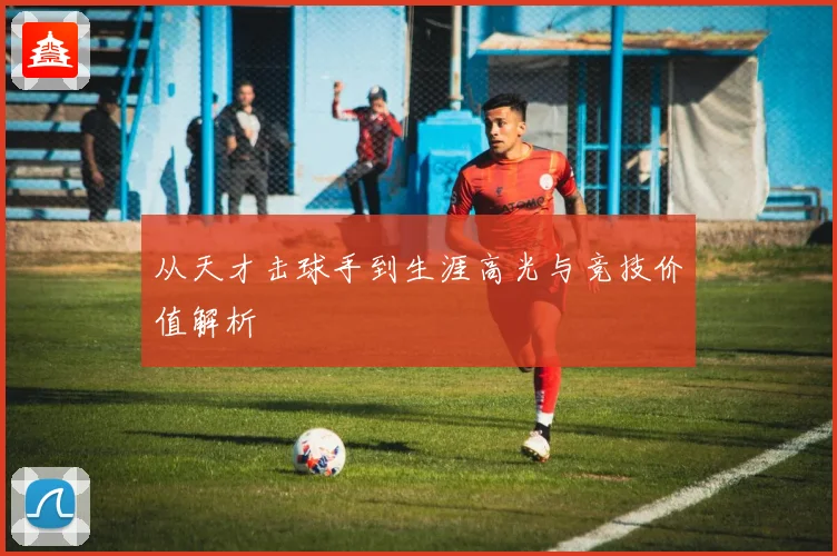 从天才击球手到生涯高光与竞技价值解析