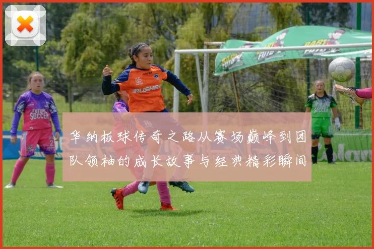 华纳板球传奇之路从赛场巅峰到团队领袖的成长故事与经典精彩瞬间回顾