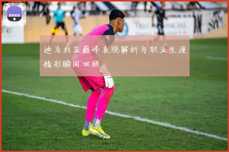 迪马利亚巅峰表现解析与职业生涯精彩瞬间回顾