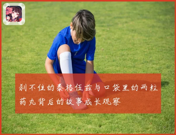 刹不住的泰格伍兹与口袋里的两粒药丸背后的故事成长观察