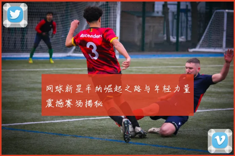 网球新星辛纳崛起之路与年轻力量震撼赛场揭秘