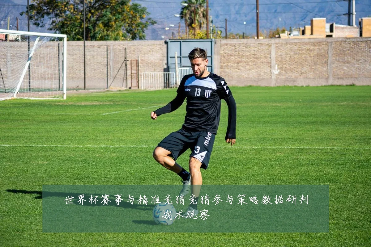 世界杯赛事与精准竞猜竞猜参与策略数据研判战术观察